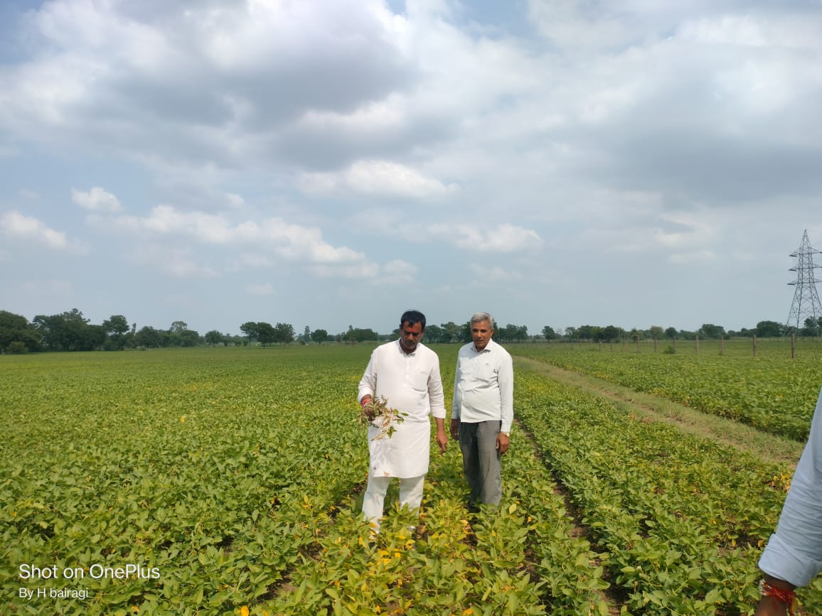 अवर्षा से नष्ट हुई फसलों का जायजा लिया उमरावसिंह ने