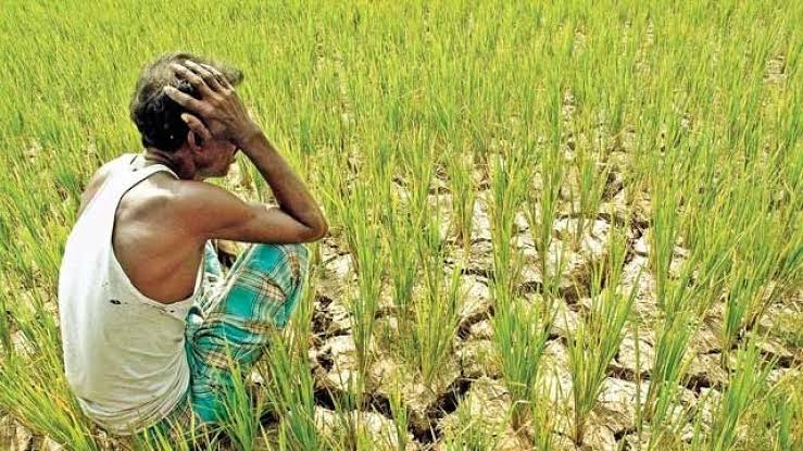 ऋण माफी योजना बनी बैंको के लिए सिरदर्द ओर किसानों के लिये गले की घंटी