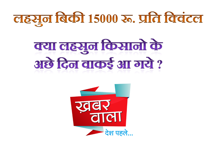 मंदसौर मंडी में लहसुन बिकी 15000 प्रति क्विंटल